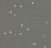 Forbo Sphera Energetic 51215 vivid ebony фото 2 | FLOORDEALER